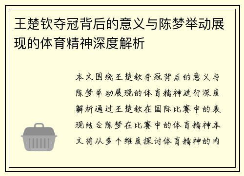 王楚钦夺冠背后的意义与陈梦举动展现的体育精神深度解析