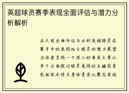 英超球员赛季表现全面评估与潜力分析解析